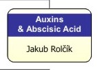 Auxins & Abscisic Acid