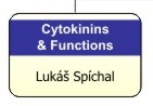 Cytokinins & Functions