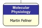 Molecular Physiology